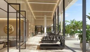 Programme neuf Villa sur toit Dubai