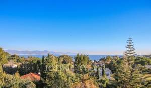 Vente Appartement Antibes