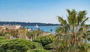 Vente Appartement Cannes