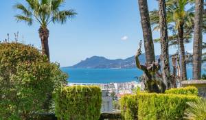 Vente Appartement Cannes