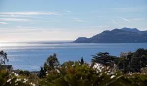Vente Appartement Cannes
