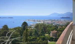 Vente Appartement Cannes