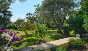 Vente Appartement Cannes