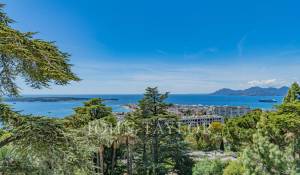 Vente Appartement Cannes
