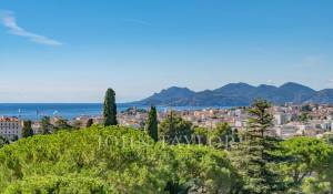 Vente Appartement Cannes