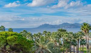Vente Appartement Cannes