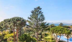 Vente Appartement Cannes