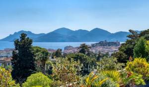 Vente Appartement Cannes