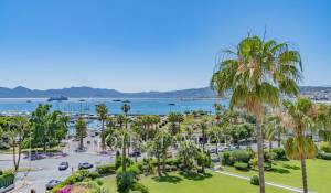 Vente Appartement Cannes