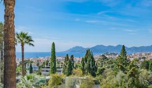 Vente Appartement Cannes