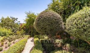 Vente Appartement Cas Català