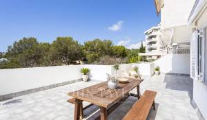 Vente Appartement Cas Català