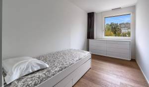 Vente Appartement Chêne-Bougeries