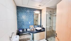 Vente Appartement Dubai