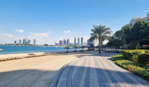 Vente Appartement Dubai