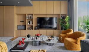 Vente Appartement Dubai