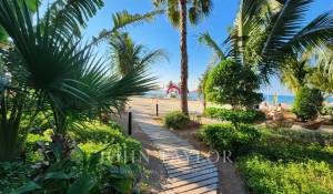 Vente Appartement Dubai
