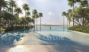 Vente Appartement Dubai