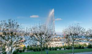 Vente Appartement Genève