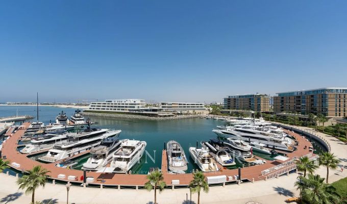 Vente Appartement Jumeirah Bay