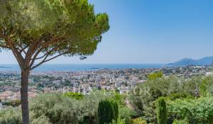 Vente Appartement Le Cannet