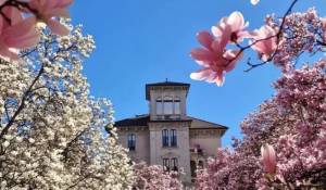Vente Appartement Milano