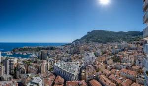 Vente Appartement Monaco