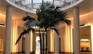 Vente Appartement Monaco