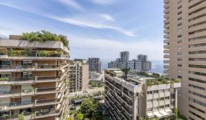 Vente Appartement Monaco