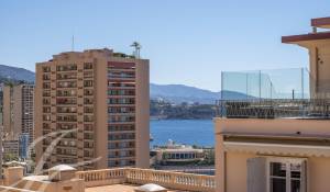 Vente Appartement Monaco