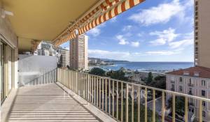 Vente Appartement Monaco