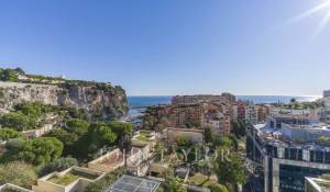 Vente Appartement Monaco