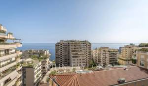 Vente Appartement Monaco