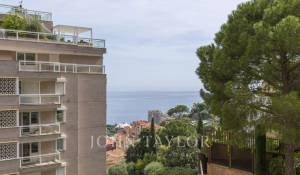 Vente Appartement Monaco