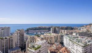 Vente Appartement Monaco