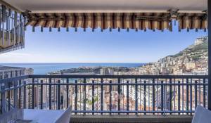 Vente Appartement Monaco