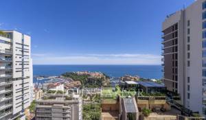Vente Appartement Monaco