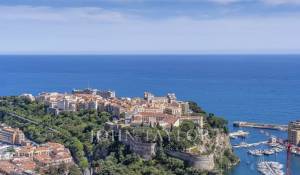 Vente Appartement Monaco