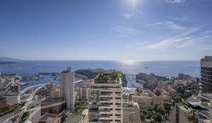 Vente Appartement Monaco