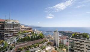 Vente Appartement Monaco