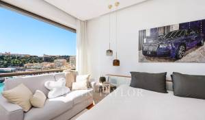 Vente Appartement Monaco