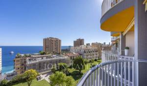 Vente Appartement Monaco
