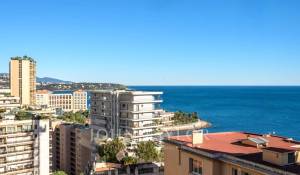 Vente Appartement Monaco