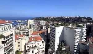 Vente Appartement Monaco