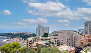 Vente Appartement Monaco