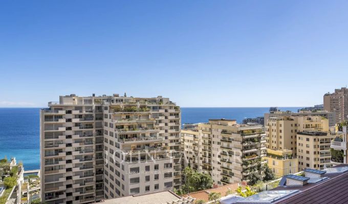 Vente Appartement Monaco