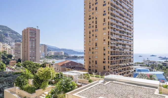 Vente Appartement Monaco