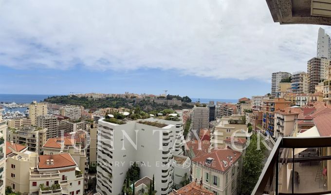Vente Appartement Monaco