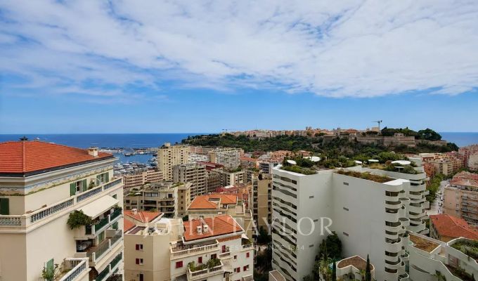 Vente Appartement Monaco