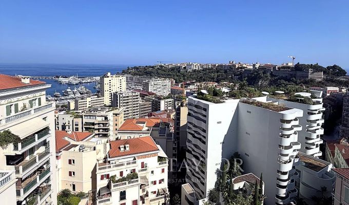 Vente Appartement Monaco